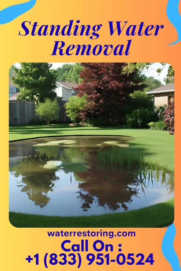 Standing Water Removal in Dodgeville, WI